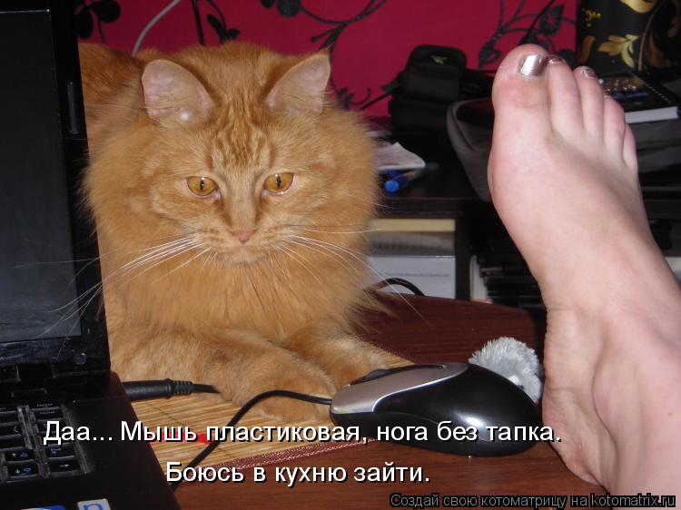 Даа... Мышь пластиковая, нога без тапка. Боюсь в кухню зайти.... Котоматрица: Даа... Мышь пластиковая, нога без тапка. Боюсь в кухню зайти.