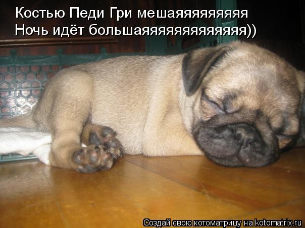 Костью Педи Гри мешаяяяяяяяяя Ночь идёт большаяяяяяяяяяяяяя))... Котоматрица: Костью Педи Гри мешаяяяяяяяяя Ночь идёт большаяяяяяяяяяяяяя))