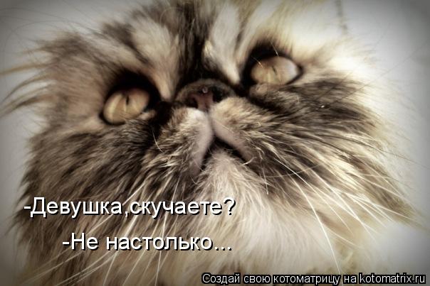 -Девушка,скучаете? -Не настолько...... Котоматрица: -Девушка,скучаете? -Не настолько...
