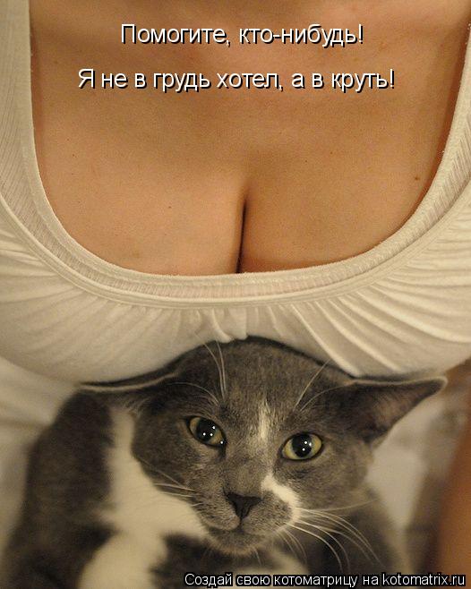 Помогите, кто-нибудь! Я не в грудь хотел, а в круть!... Котоматрица: Помогите, кто-нибудь! Я не в грудь хотел, а в круть!