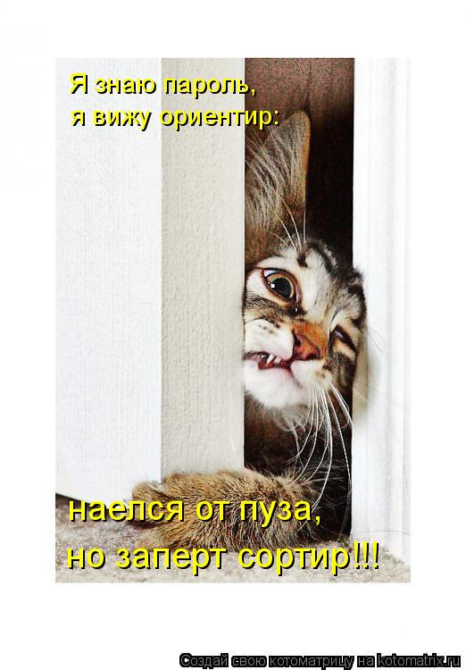 Я знаю пароль, я вижу ориентир: наелся от пуза, но заперт сортир!!!... Котоматрица: Я знаю пароль, я вижу ориентир: наелся от пуза, но заперт сортир!!!
