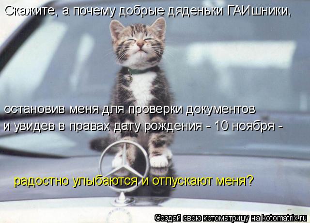 Скажите, а почему добрые дяденьки ГАИшники, остановив меня для проверки документов и увидев в права... Котоматрица: Скажите, а почему добрые дяденьки ГАИшники, остановив меня для проверки документов и увидев в правах дату рождения - 10 ноября - радостно ул