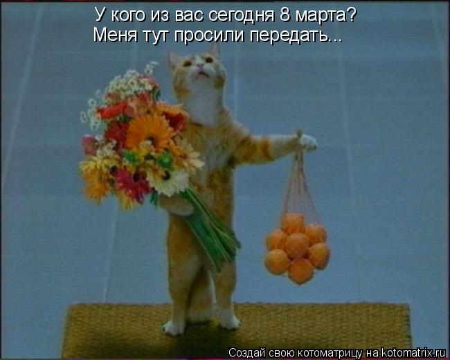 У кого из вас сегодня 8 марта? Меня тут просили передать...... Котоматрица: У кого из вас сегодня 8 марта? Меня тут просили передать...