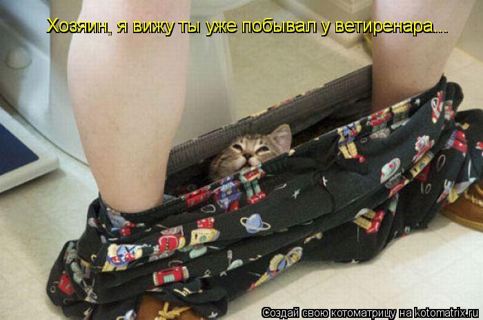Хозяин, я вижу ты уже побывал у ветиренара... Хозяин, я вижу ты уже побывал у ветиренара...... Котоматрица: Хозяин, я вижу ты уже побывал у ветиренара... Хозяин, я вижу ты уже побывал у ветиренара...