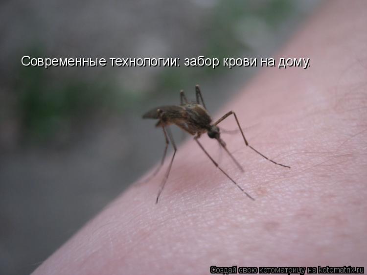 Современные технологии: забор крови на дому.... Котоматрица: Современные технологии: забор крови на дому.