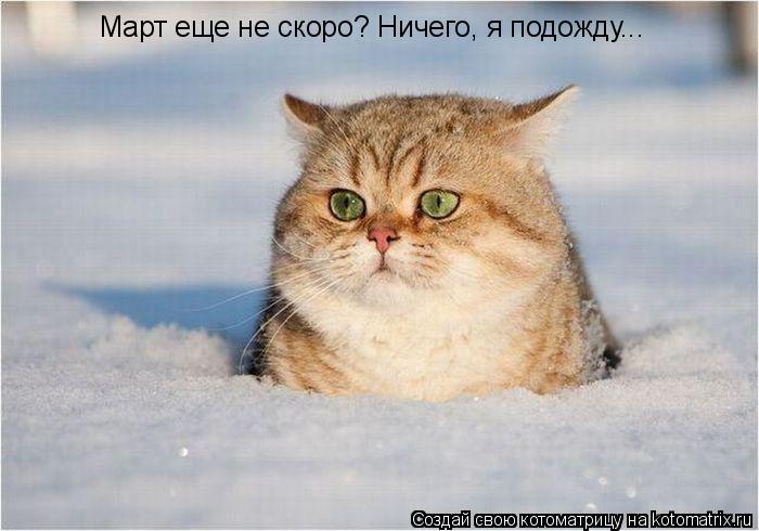 Март еще не скоро? Ничего, я подожду...... Котоматрица: Март еще не скоро? Ничего, я подожду...