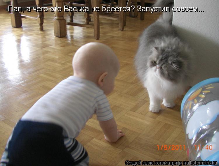 Пап, а чего это Васька не бреется? Запустил совсем...... Котоматрица: Пап, а чего это Васька не бреется? Запустил совсем...