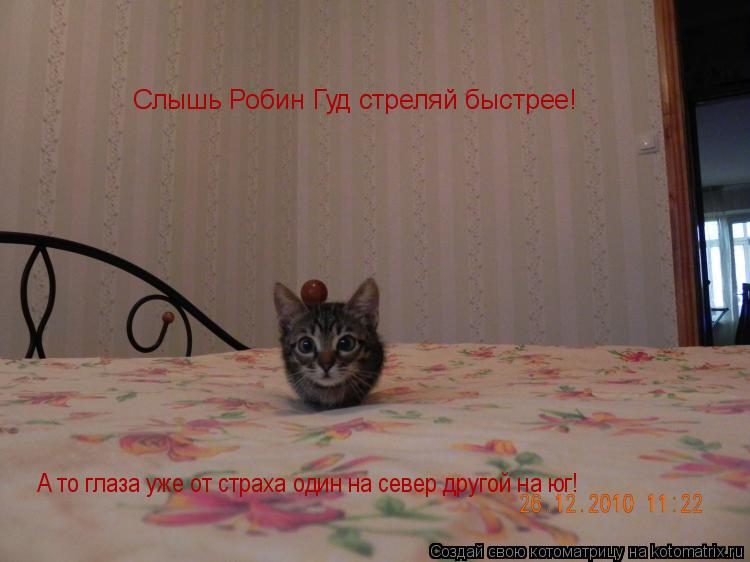 Слышь Робин Гуд стреляй быстрее! Слышь Робин Гуд стреляй быстрее! Слышь Робин Гуд стреляй быстрее! Сл... Котоматрица: Слышь Робин Гуд стреляй быстрее! Слышь Робин Гуд стреляй быстрее! Слышь Робин Гуд стреляй быстрее! Слышь Робин Гуд стреляй быстрее! А то гла