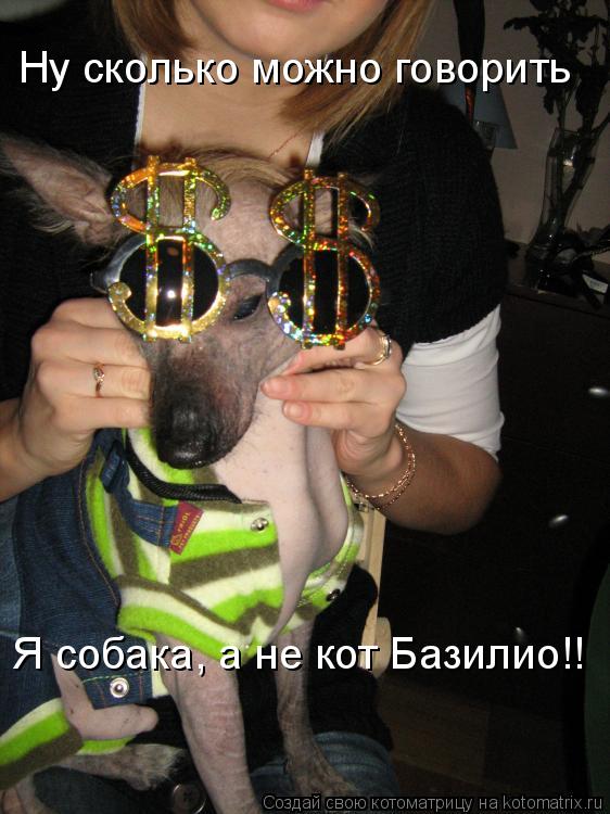 Ну сколько можно говорить Я собака, а не кот Базилио!!... Котоматрица: Ну сколько можно говорить Я собака, а не кот Базилио!!