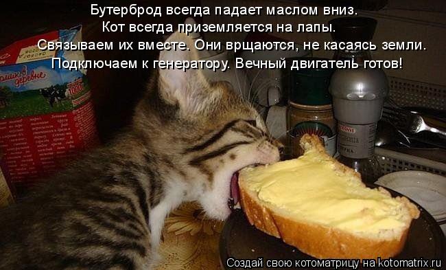 Бутерброд всегда падает маслом вниз. Кот всегда приземляется на лапы. Связываем их вместе. Они врщаю... Котоматрица: Бутерброд всегда падает маслом вниз. Кот всегда приземляется на лапы. Связываем их вместе. Они врщаются, не касаясь земли. Подключаем к ген