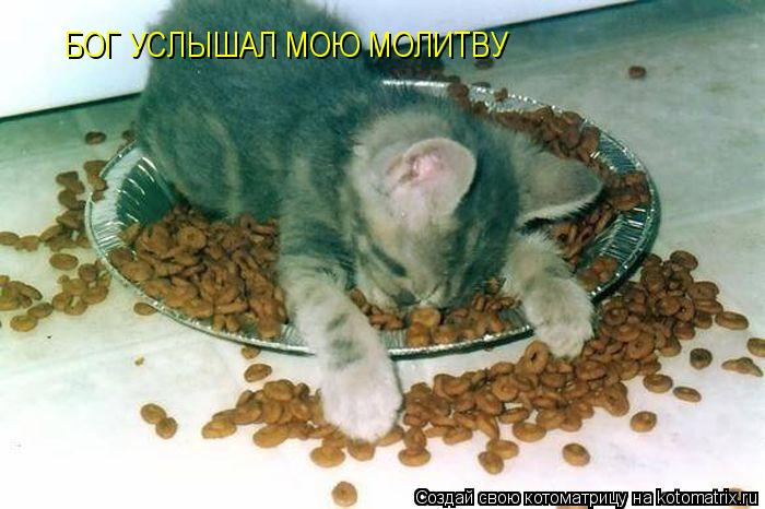 БОГ УСЛЫШАЛ МОЮ МОЛИТВУ... Котоматрица: БОГ УСЛЫШАЛ МОЮ МОЛИТВУ