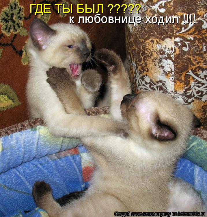 ГДЕ ТЫ БЫЛ ????? к любовнице ходил !!!!... Котоматрица: ГДЕ ТЫ БЫЛ ????? к любовнице ходил !!!!