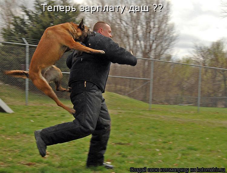 Теперь зарплату даш ??... Котоматрица: Теперь зарплату даш ??