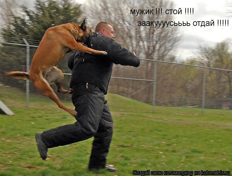 мужик !!! стой !!!! заакуууусьььь отдай !!!!!... Котоматрица: мужик !!! стой !!!! заакуууусьььь отдай !!!!!