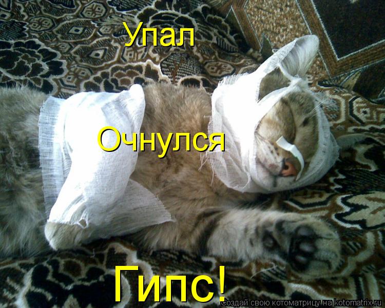 Упал Очнулся Гипс!... Котоматрица: Упал Очнулся Гипс!