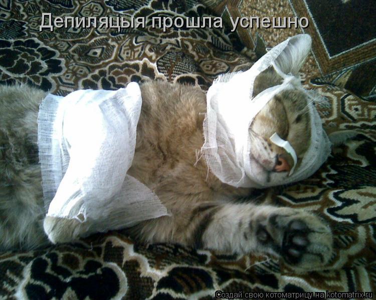 Депиляцыя прошла успешно... Котоматрица: Депиляцыя прошла успешно