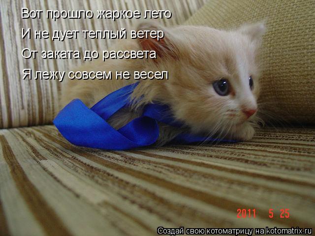 Вот прошло жаркое лето Вот прошло жаркое лето И не дует теплый ветер От заката до рассвета Я лежу сов... Котоматрица: Вот прошло жаркое лето Вот прошло жаркое лето И не дует теплый ветер От заката до рассвета Я лежу совсем не весел