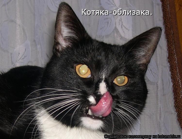 Котяка-облизака.... Котоматрица: Котяка-облизака.