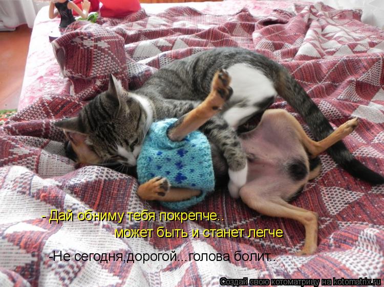 - Дай обниму тебя покрепче.. может быть и станет легче -Не сегодня,дорогой...голова болит..... Котоматрица: - Дай обниму тебя покрепче.. может быть и станет легче -Не сегодня,дорогой...голова болит..