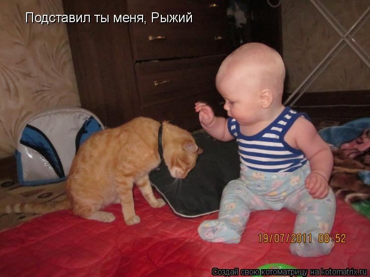 Подставил ты меня, Рыжий... Котоматрица: Подставил ты меня, Рыжий