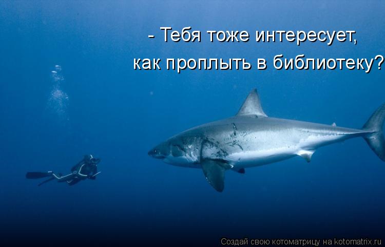 - Тебя тоже интересует, как проплыть в библиотеку?... Котоматрица: - Тебя тоже интересует, как проплыть в библиотеку?