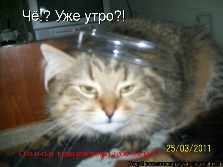Чё!? Уже утро?! О-о-о-о-о, класная вчера туса была!)... Котоматрица: Чё!? Уже утро?! О-о-о-о-о, класная вчера туса была!)