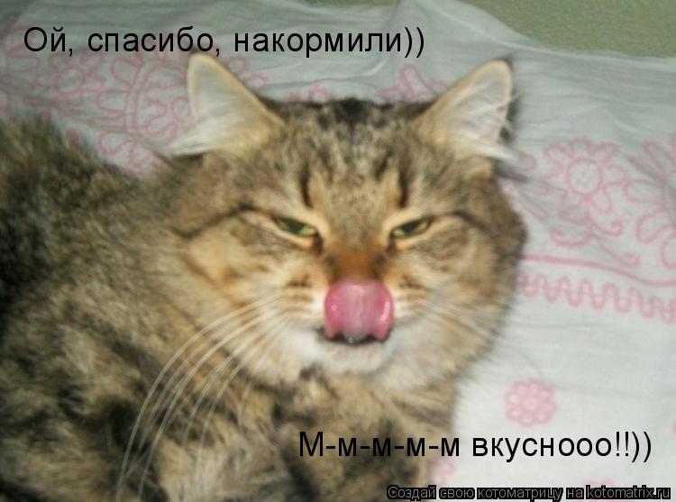 Ой, спасибо, накормили)) М-м-м-м-м вкуснооо!!))... Котоматрица: Ой, спасибо, накормили)) М-м-м-м-м вкуснооо!!))