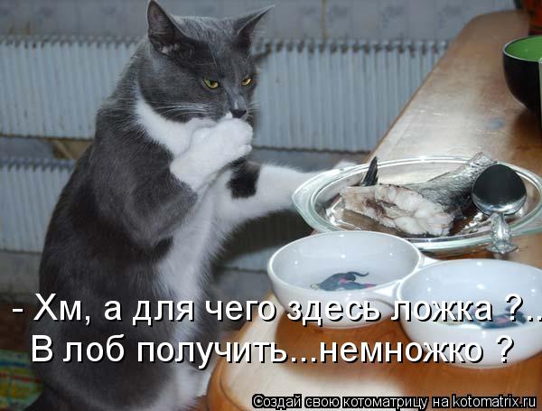 - Хм, а для чего здесь ложка ?.. В лоб получить...немножко ?... Котоматрица: - Хм, а для чего здесь ложка ?.. В лоб получить...немножко ?