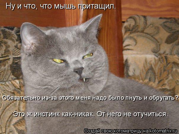 Ну и что, что мышь притащил. Обязательно из-за этого меня надо было пнуть и обругать? Это ж инстинк к... Котоматрица: Ну и что, что мышь притащил. Обязательно из-за этого меня надо было пнуть и обругать? Это ж инстинк как-никак. От него не отучиться.