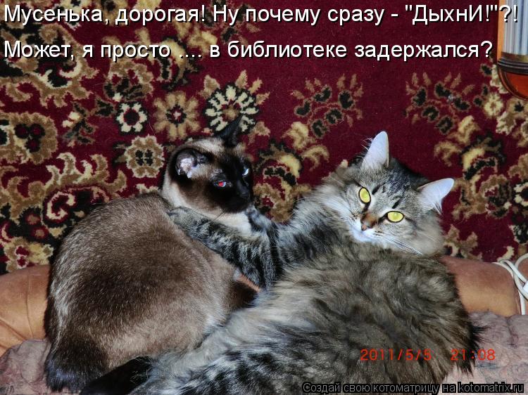 Мусенька, дорогая! Ну почему сразу - "ДыхнИ!"?! Может, я просто .... в библиотеке задержался?... Котоматрица: Мусенька, дорогая! Ну почему сразу - "ДыхнИ!"?! Может, я просто .... в библиотеке задержался?