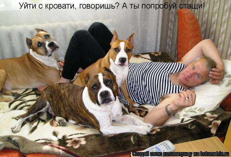 Уйти с кровати, говоришь? А ты попробуй стащи!... Котоматрица: Уйти с кровати, говоришь? А ты попробуй стащи!