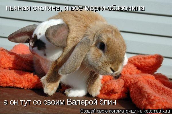 пьяная скотина, я все морги обзвонила а он тут со своим Валерой блин... Котоматрица: пьяная скотина, я все морги обзвонила а он тут со своим Валерой блин