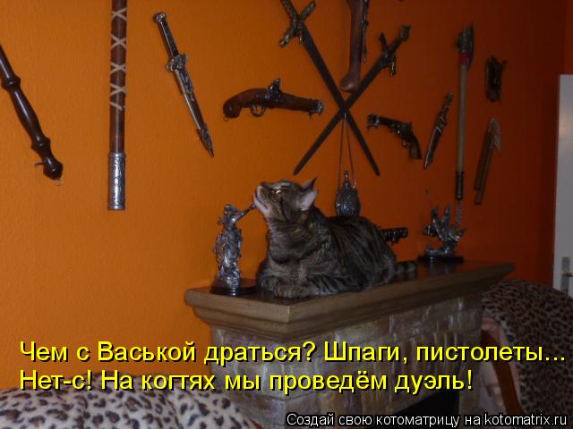 Чем с Васькой драться? Шпаги, пистолеты... Нет-с! На когтях мы проведём дуэль!... Котоматрица: Чем с Васькой драться? Шпаги, пистолеты... Нет-с! На когтях мы проведём дуэль!