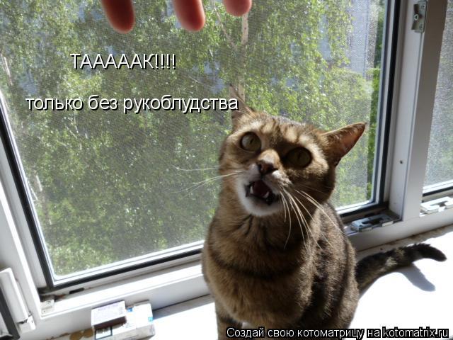 ТАААААК!!!! только без рукоблудства... Котоматрица: ТАААААК!!!! только без рукоблудства