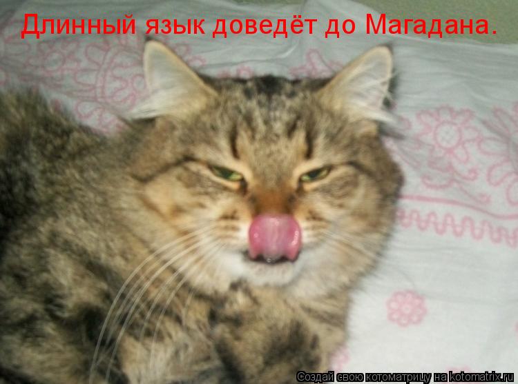 Котоматрица: Длинный язык доведёт до Магадана.