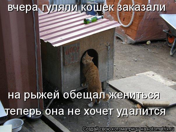 Котоматрица: вчера гуляли кошек заказали на рыжей обещал жениться теперь она не хочет удалится