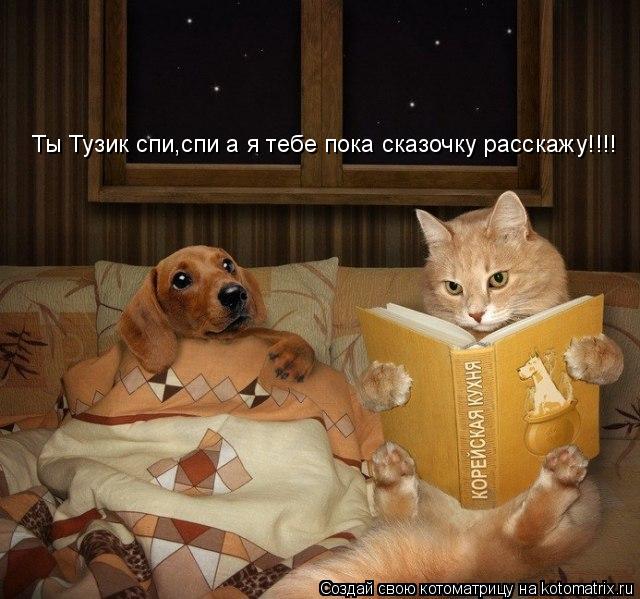 Котоматрица: Ты Тузик спи,спи а я тебе пока сказочку расскажу!!!!