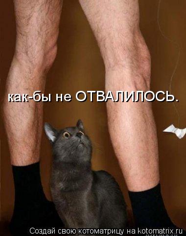 Котоматрица: как-бы не ОТВАЛИЛОСЬ.