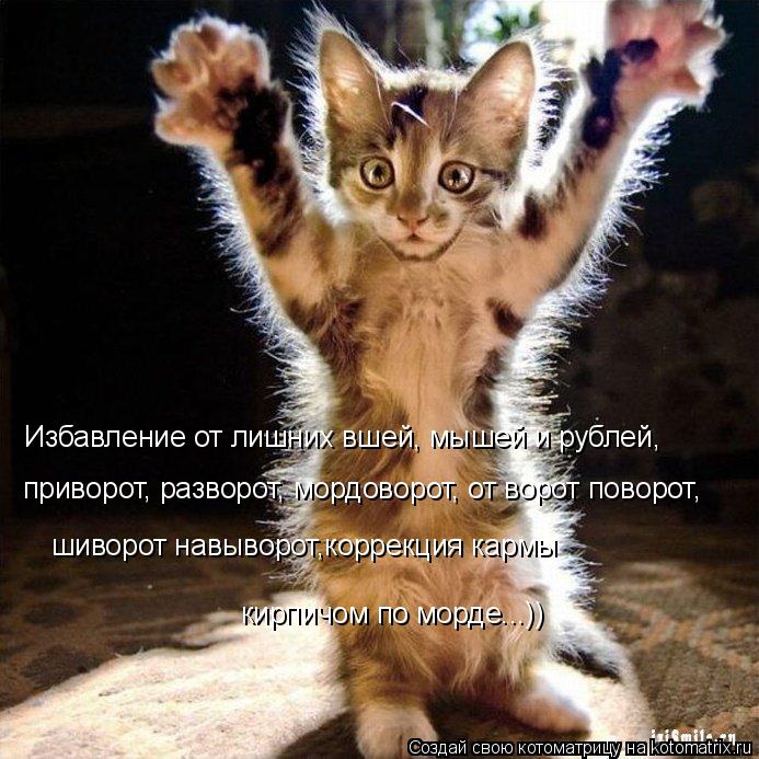 Избавление от лишних вшей, мышей и рублей, приворот, разворот, мордоворот, от ворот поворот, шиворот... Котоматрица: Избавление от лишних вшей, мышей и рублей, приворот, разворот, мордоворот, от ворот поворот, шиворот навыворот,коррекция кармы кирпичом по