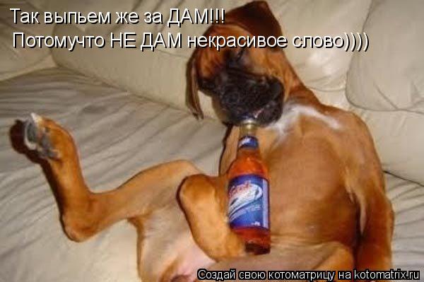Так выпьем же за ДАМ!!! Потомучто НЕ ДАМ некрасивое слово))))... Котоматрица: Так выпьем же за ДАМ!!! Потомучто НЕ ДАМ некрасивое слово))))