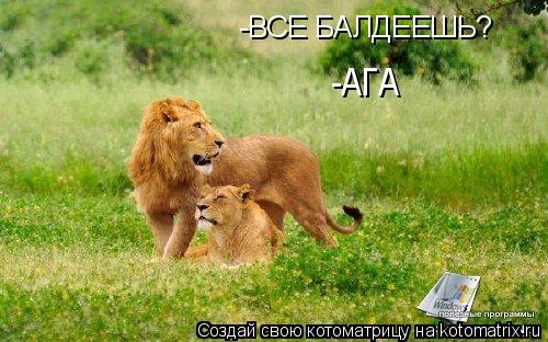 -ВСЕ БАЛДЕЕШЬ? -АГА... Котоматрица: -ВСЕ БАЛДЕЕШЬ? -АГА