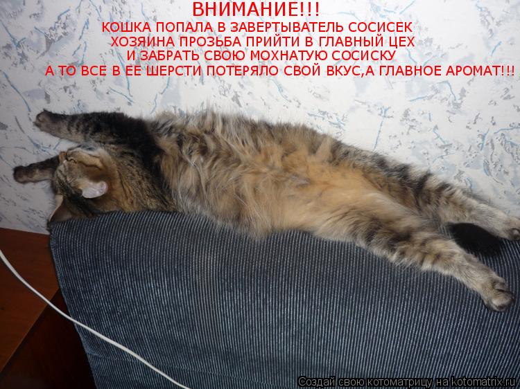 ВНИМАНИЕ!!! КОШКА ПОПАЛА В ЗАВЕРТЫВАТЕЛЬ СОСИСЕК ХОЗЯИНА ПРОЗЬБА ПРИЙТИ В ГЛАВНЫЙ ЦЕХ И ЗАБРАТЬ СВОЮ ... Котоматрица: ВНИМАНИЕ!!! КОШКА ПОПАЛА В ЗАВЕРТЫВАТЕЛЬ СОСИСЕК ХОЗЯИНА ПРОЗЬБА ПРИЙТИ В ГЛАВНЫЙ ЦЕХ И ЗАБРАТЬ СВОЮ МОХНАТУЮ СОСИСКУ А ТО ВСЕ В ЕЕ ШЕРСТИ П