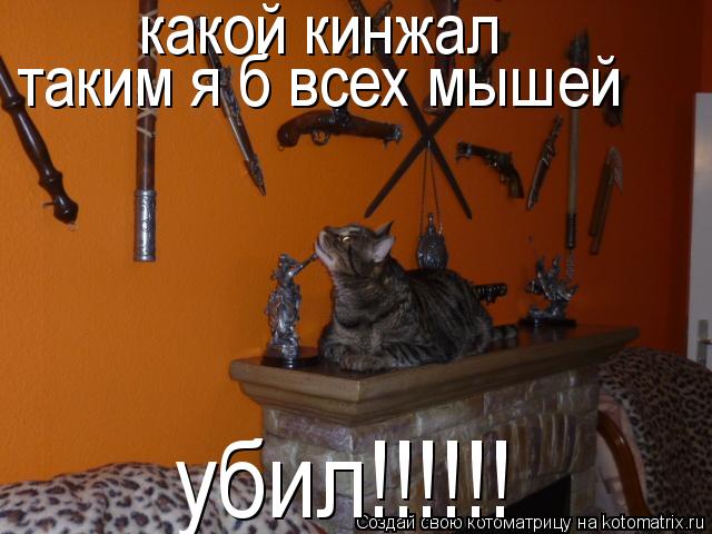 какой кинжал таким я б всех мышей убил!!!!!!... Котоматрица: какой кинжал таким я б всех мышей убил!!!!!!
