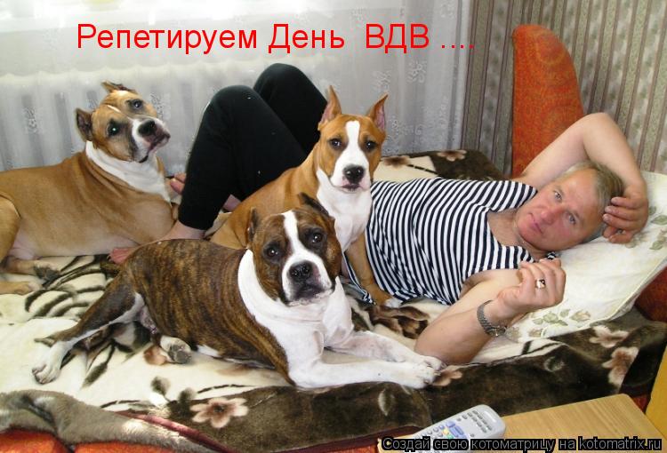 Репетируем День ВДВ ....... Котоматрица: Репетируем День ВДВ ....