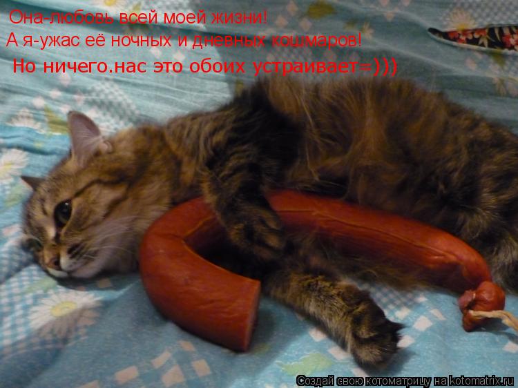Она-любовь всей моей жизни! А я-ужас её ночных и дневных кошмаров! Но ничего.нас это обоих устраивает... Котоматрица: Она-любовь всей моей жизни! А я-ужас её ночных и дневных кошмаров! Но ничего.нас это обоих устраивает=)))