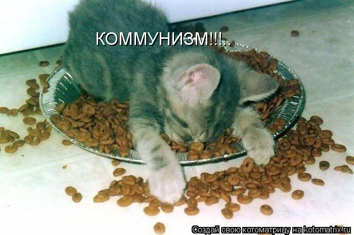 КОММУНИЗМ!!!.. КОММУНИЗМ!!!..... Котоматрица: КОММУНИЗМ!!!.. КОММУНИЗМ!!!..
