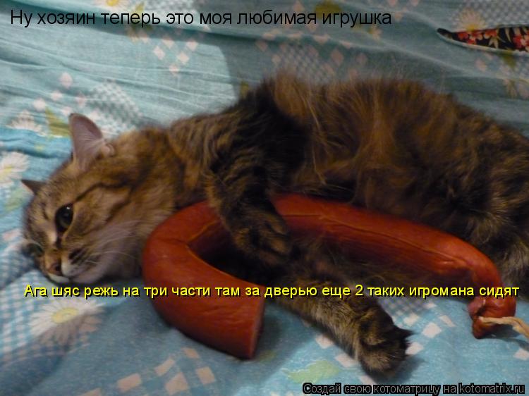 Ну хозяин теперь это моя любимая игрушка Ага шяс режь на три части там за дверью еще 2 таких игромана... Котоматрица: Ну хозяин теперь это моя любимая игрушка Ага шяс режь на три части там за дверью еще 2 таких игромана сидят