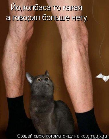Йо,колбаса то какая а говорил больше нету.... Котоматрица: Йо,колбаса то какая а говорил больше нету.