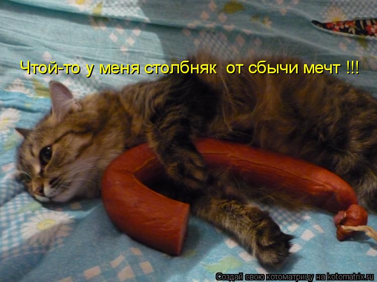Чтой-то у меня столбняк от сбычи мечт !!!... Котоматрица: Чтой-то у меня столбняк от сбычи мечт !!!
