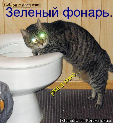 Зеленый фонарь. уже в кино...... Котоматрица: Зеленый фонарь. уже в кино...